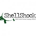 2004-2005 Shellshock 