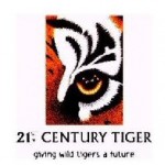2002-2004 Tygrys w XXI wieku