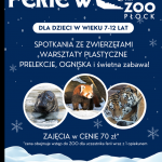 Ferie w ZOO Płock