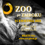 ZOO po ZMROKU