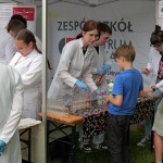 Atrakcje / Działo się...