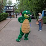 Atrakcje / Działo się...