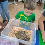 Atrakcje / Działo się...