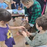 Atrakcje / Działo się...